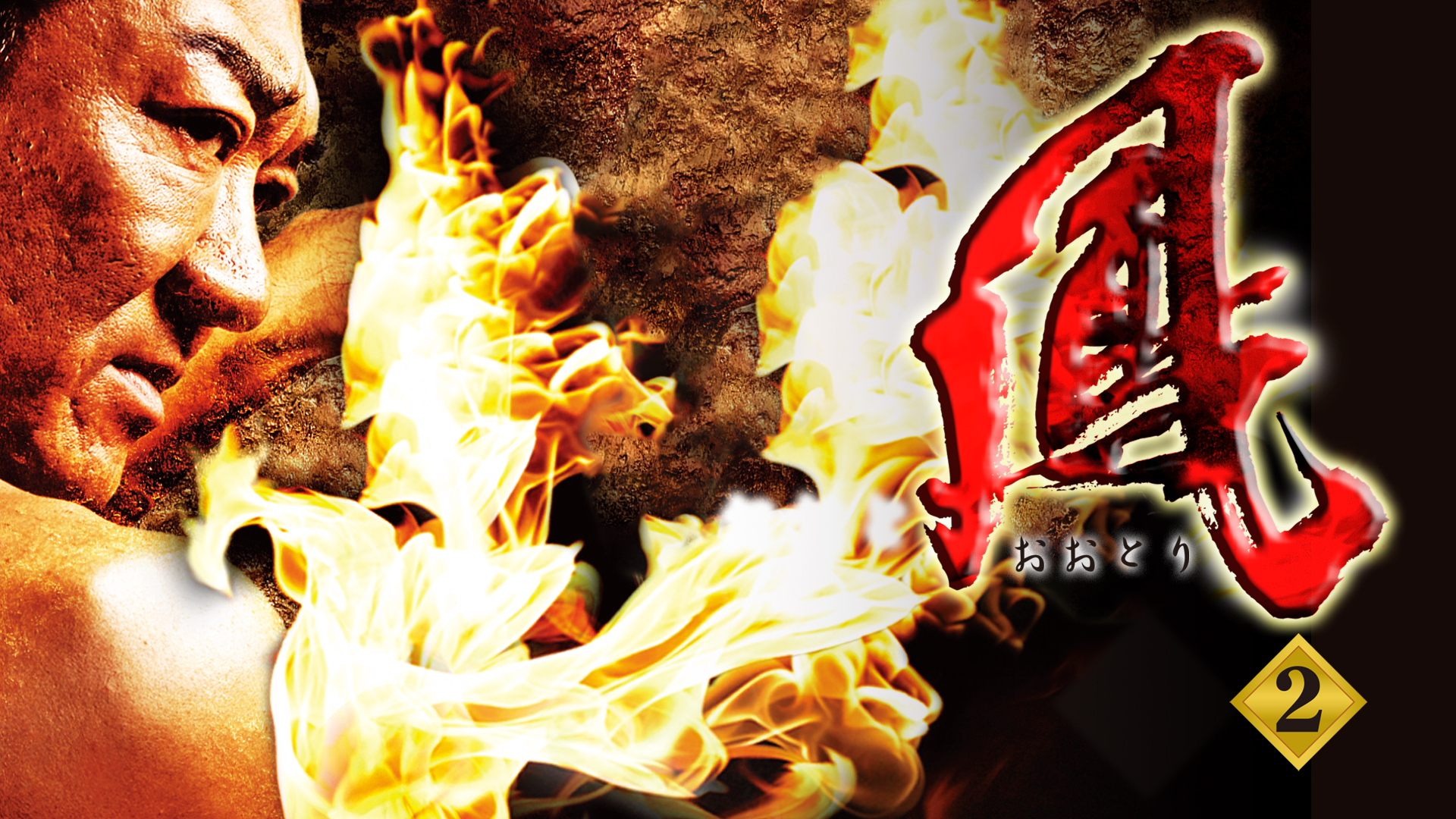 Amazon.co.jp: 鳳を観る | Prime Video