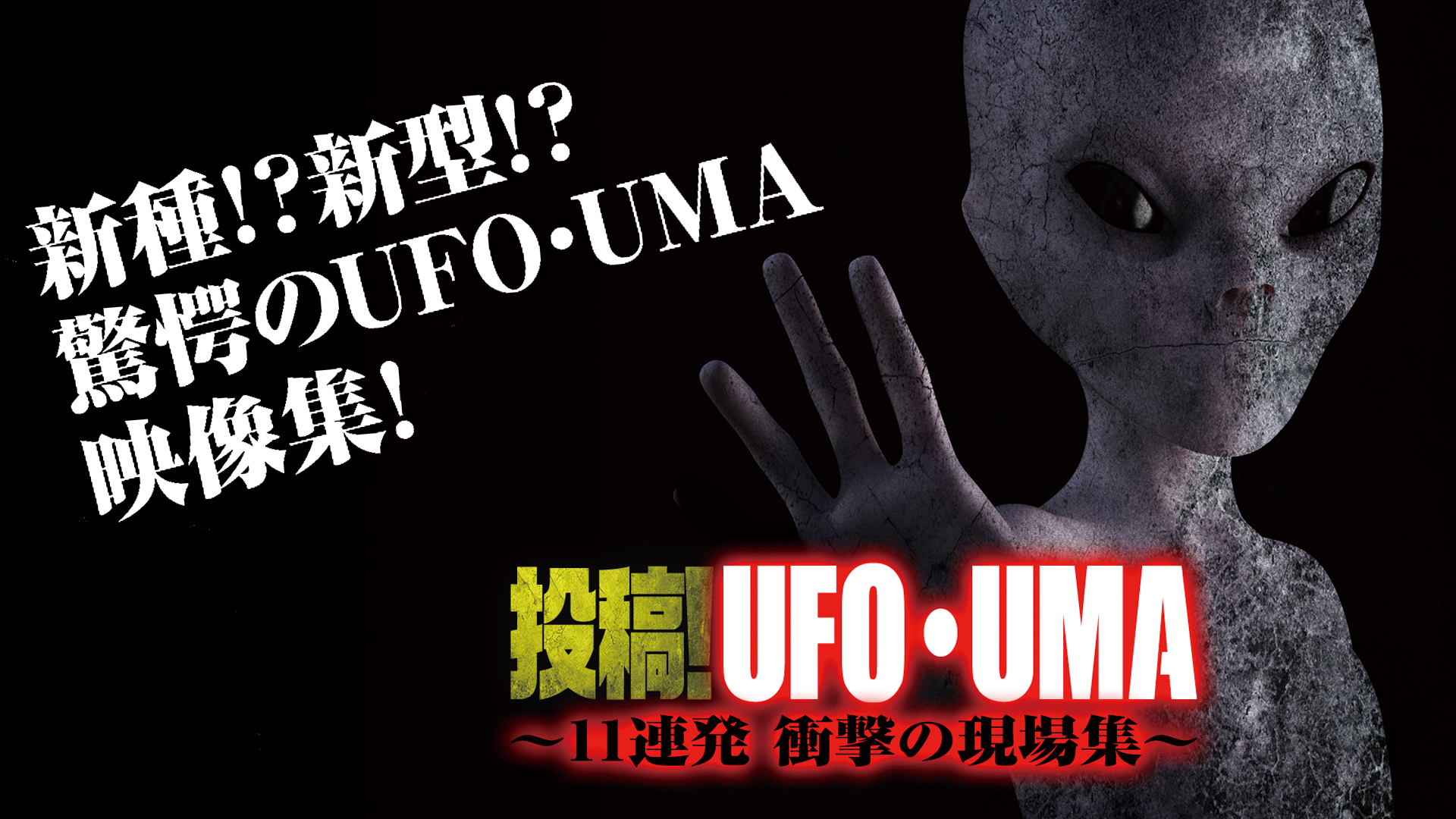 Amazon.co.jp: 衝撃映像!!未確認生物UMAを観る | Prime Video