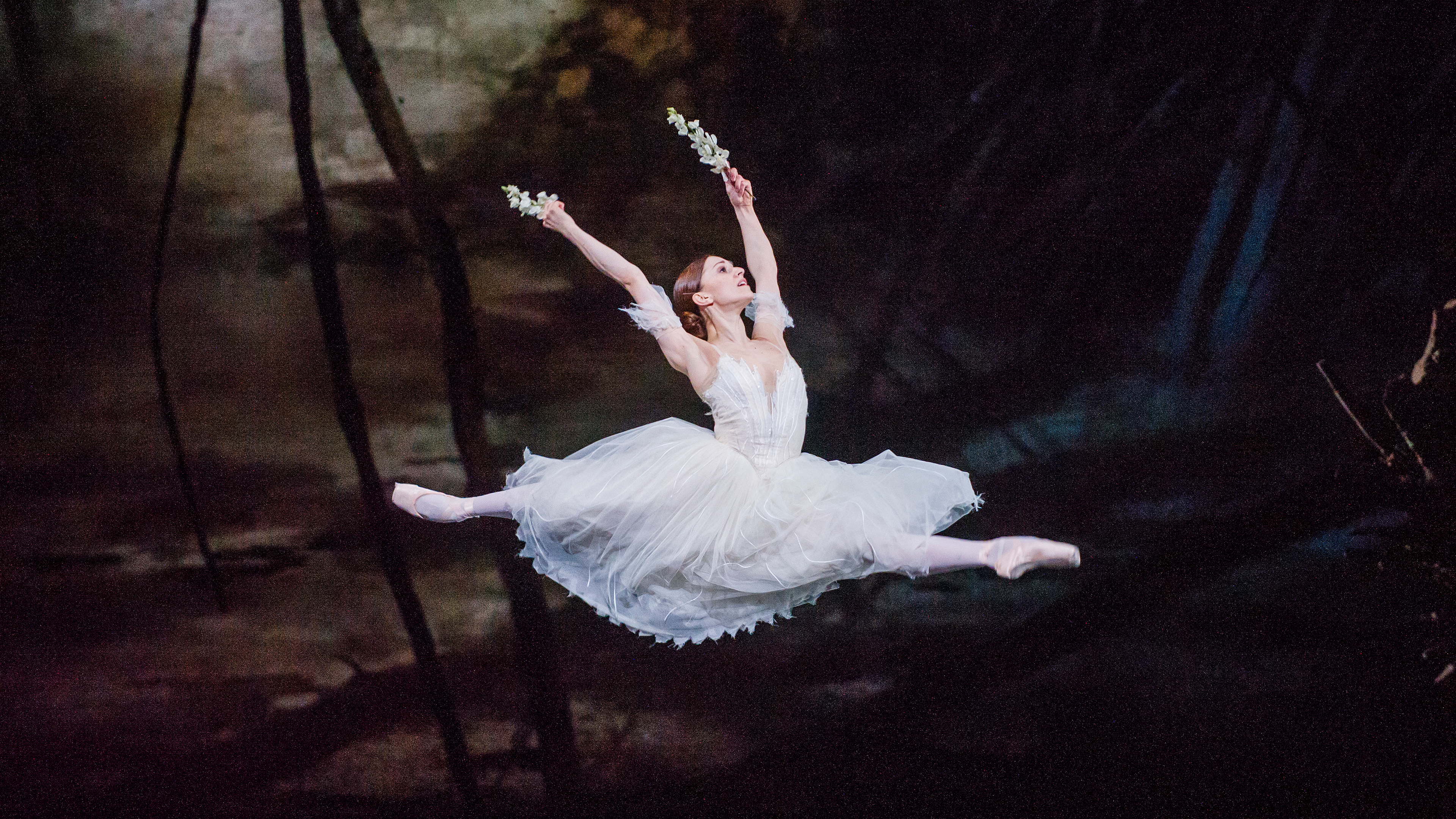 c6a34b409885a7d2b6d3833e931d4a