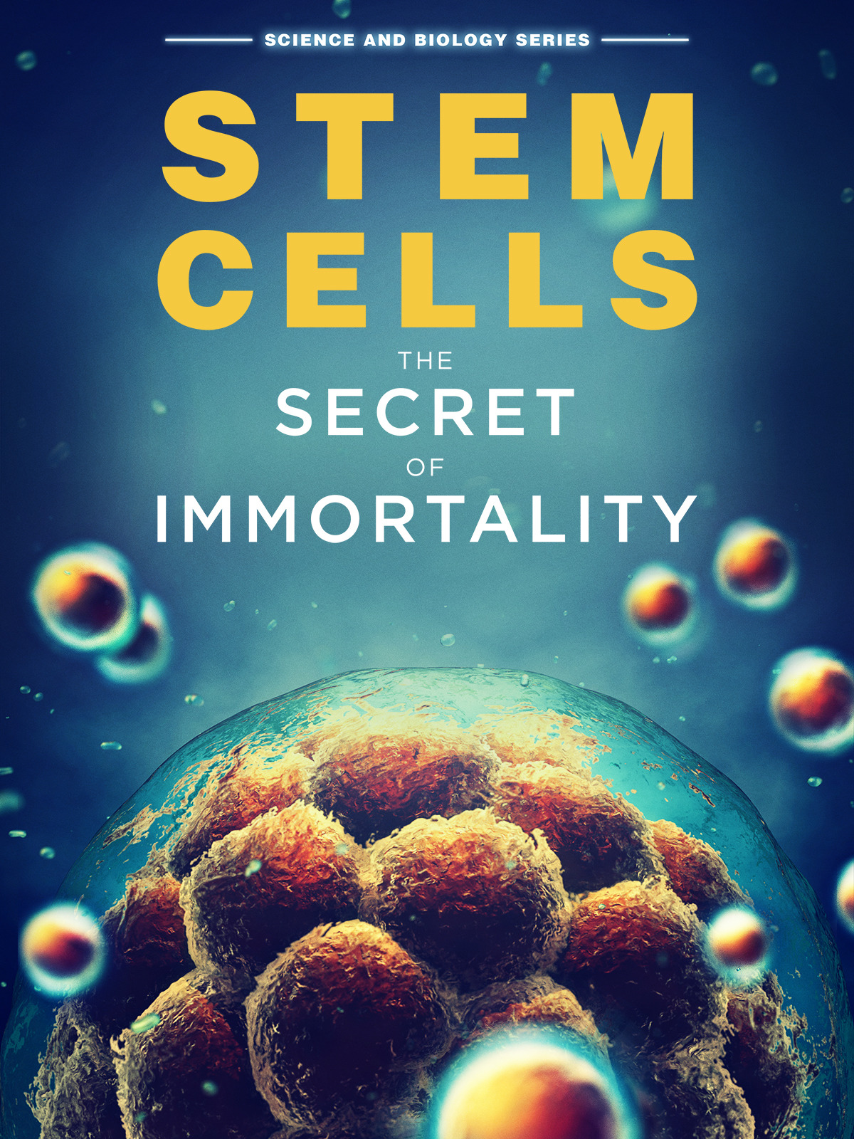 Prime Video Stem Cells The Secret To Immortality