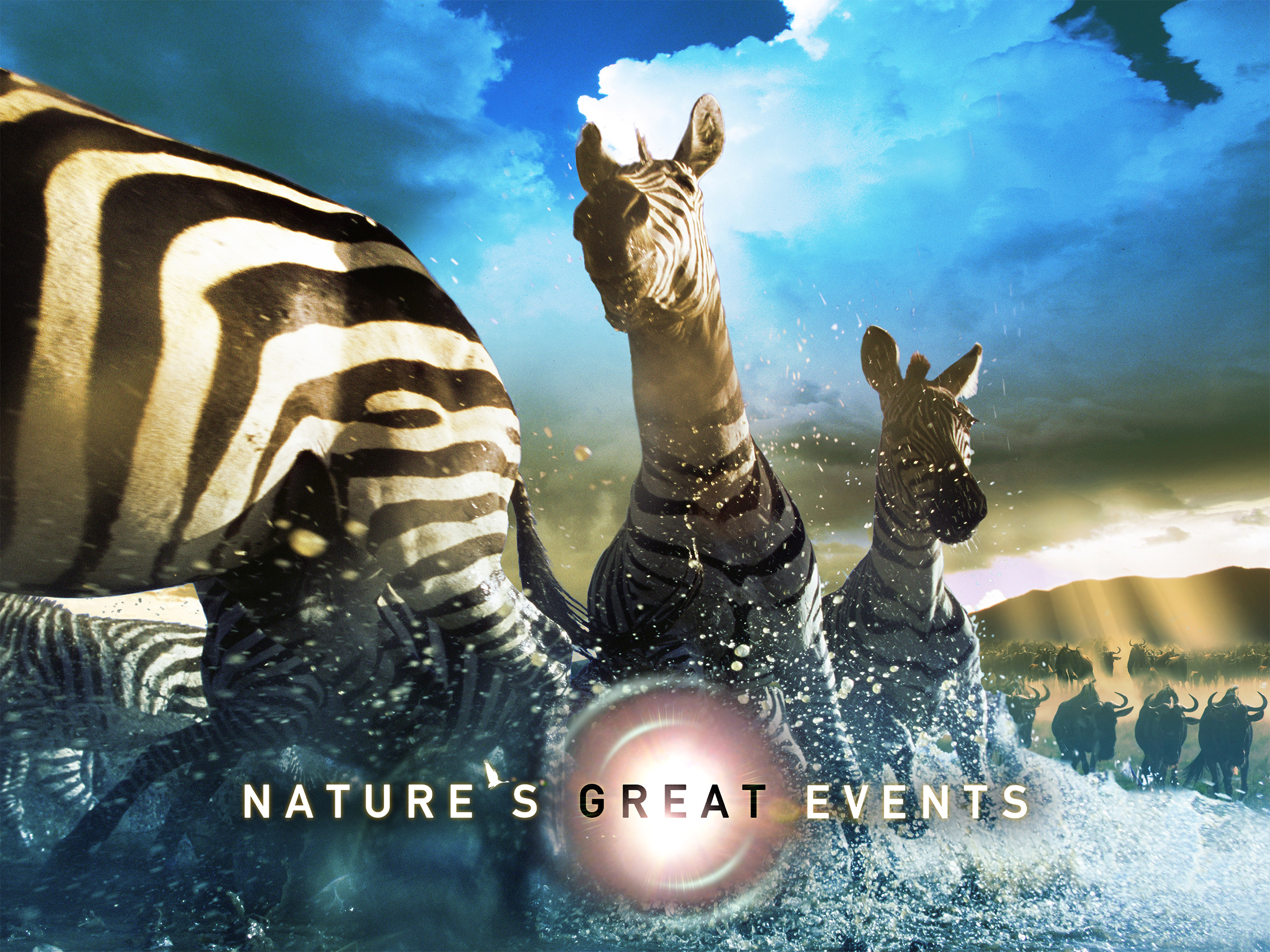 その他 Nature&#39;s Great Events [DVD] Nature's Great Events [Import anglais]: Amazon.ca: Movies