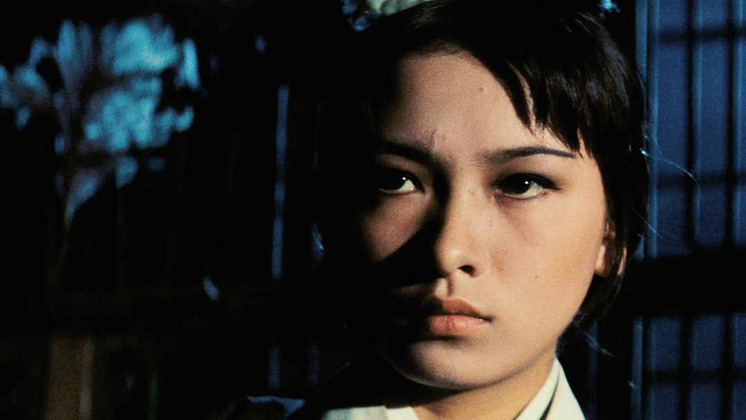 A Touch of Zen (English Subtitled)