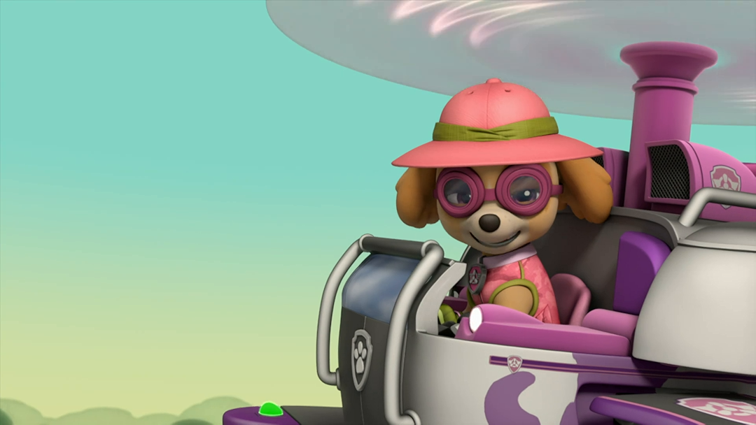 PAW Patrol