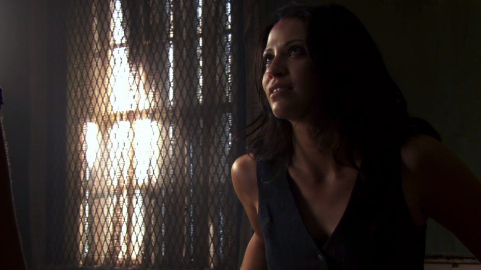 Burn Notice Fiona Kidnapped