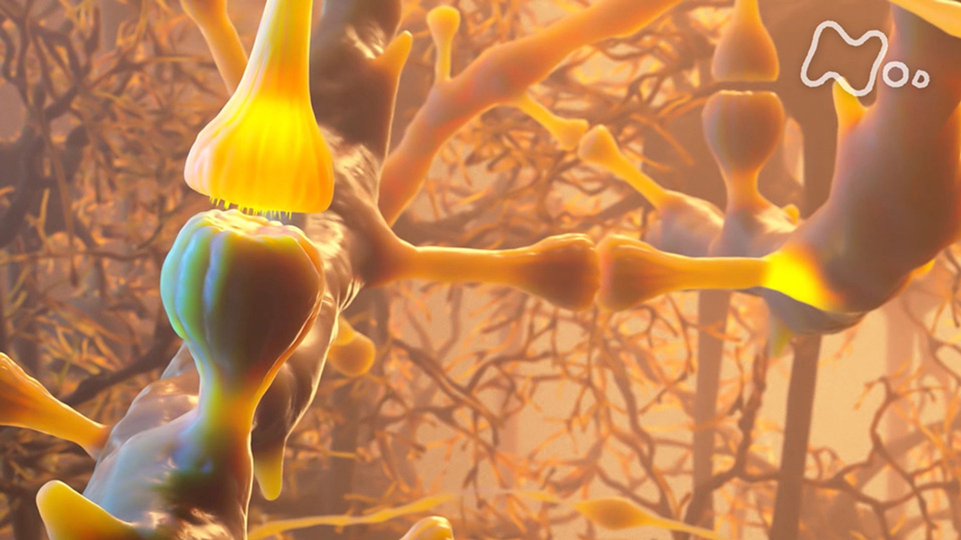 NHKスペシャル「人体～神秘の巨大ネットワーク」1＆2＆3＆4 NHKスペシャル 人体 神秘の巨大ネットワーク ブルーレイBOX 全7