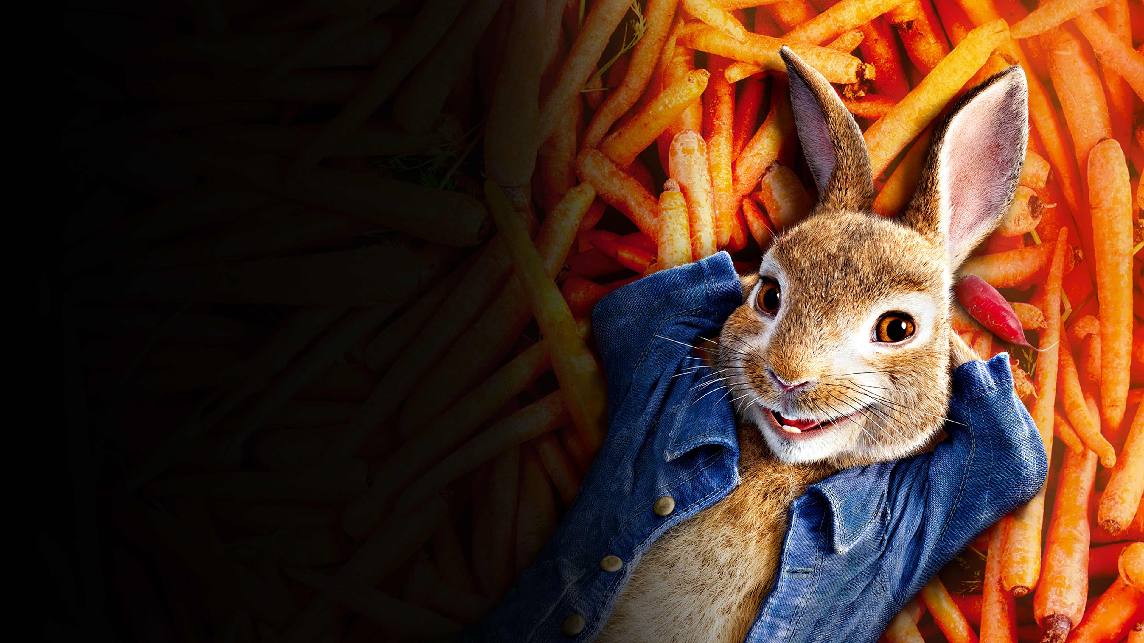 Prime Video: ピーター・ラビット