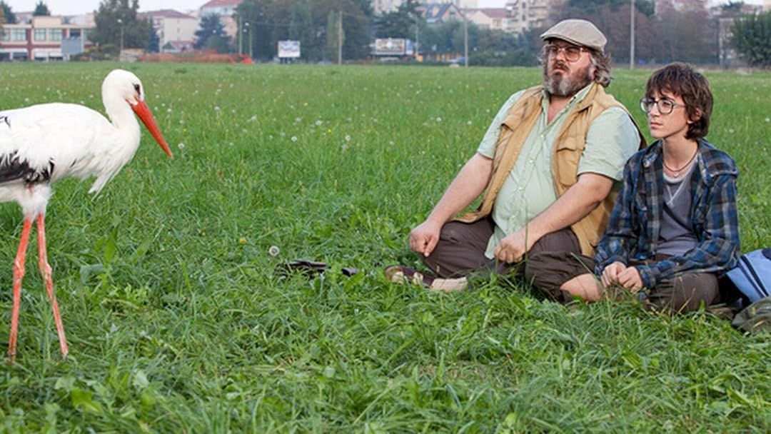 Il Comandante E La Cicogna