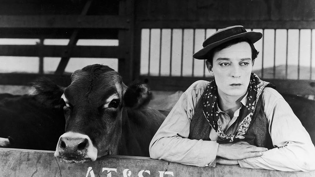Ma vache et moi