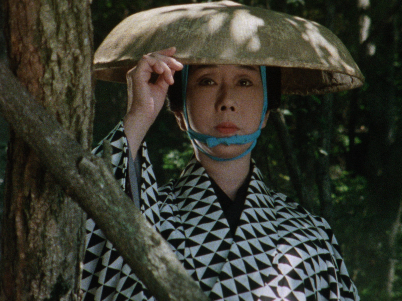 必殺からくり人・富嶽百景殺し旅を観る | Prime Video