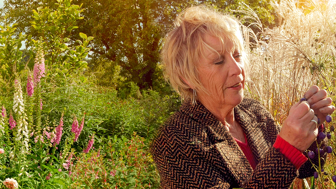 Life in A Cottage Garden