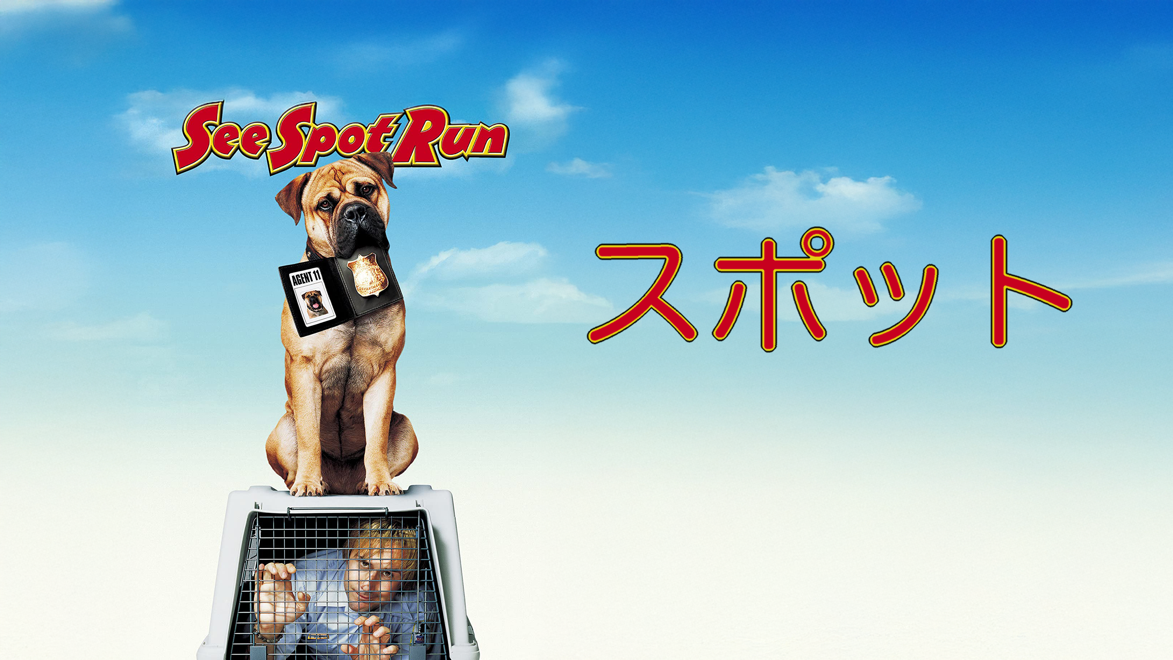 PlayStationポータブル　UMD映画22本+犬育成1本 Amazon.co.jp: Final Destination 3 [UMD Mini for PSP] : DVD
