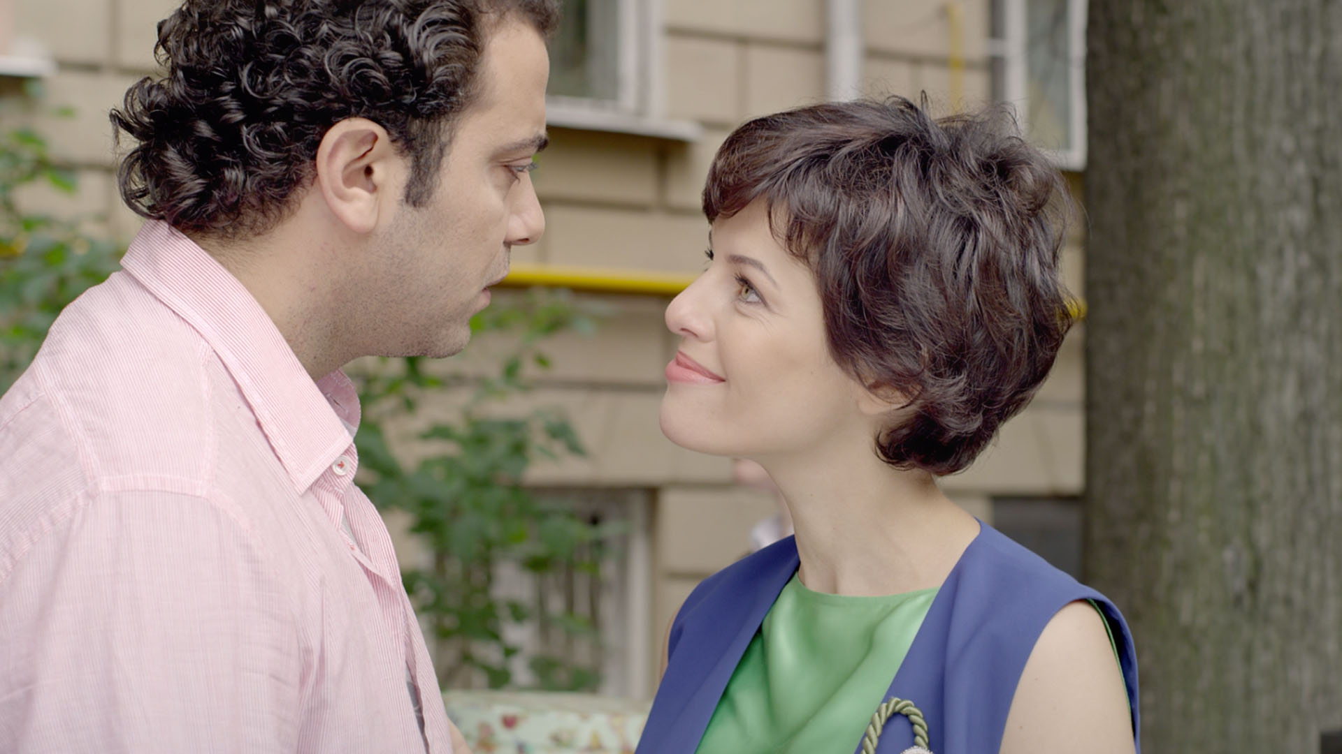 Mushuklar onanizm qilinadi