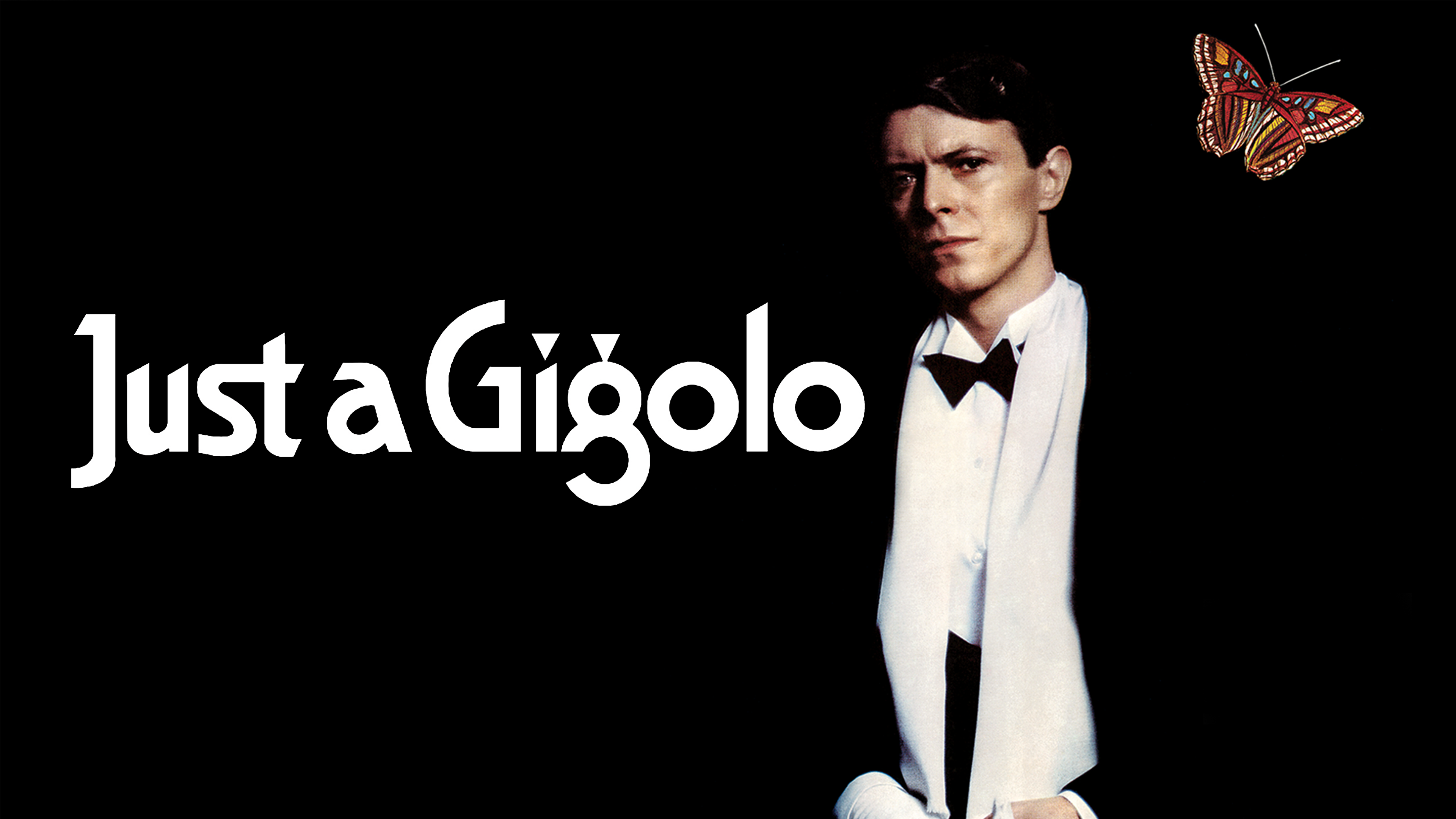 その他 Just a Gigolo [DVD] Amazon.com: Just a Gigolo [DVD] : David Bowie, Sydne Rome