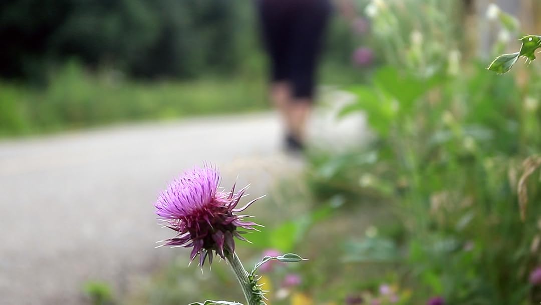 Walks to Forgive