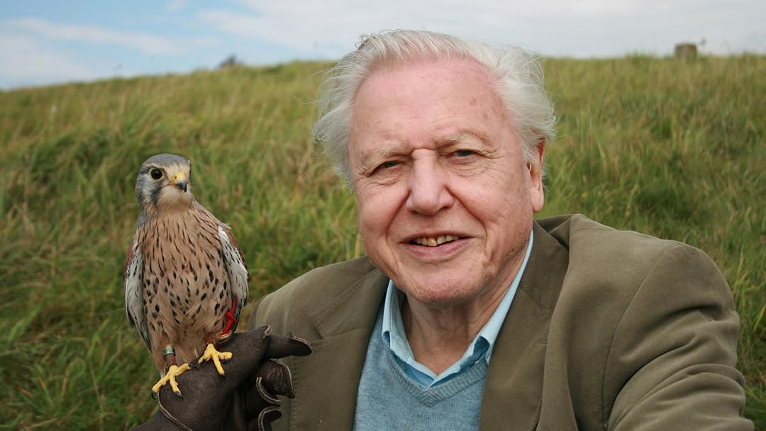 Attenborough 60 Years in the Wild