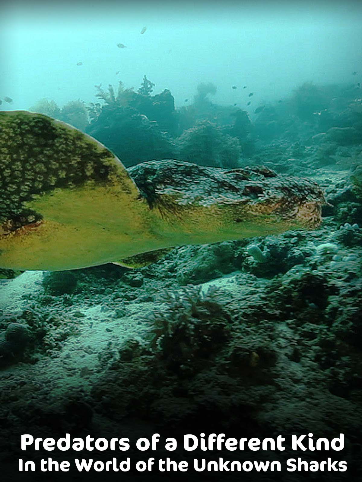 Prime Video: Predators of a Different Kind - In the World of the