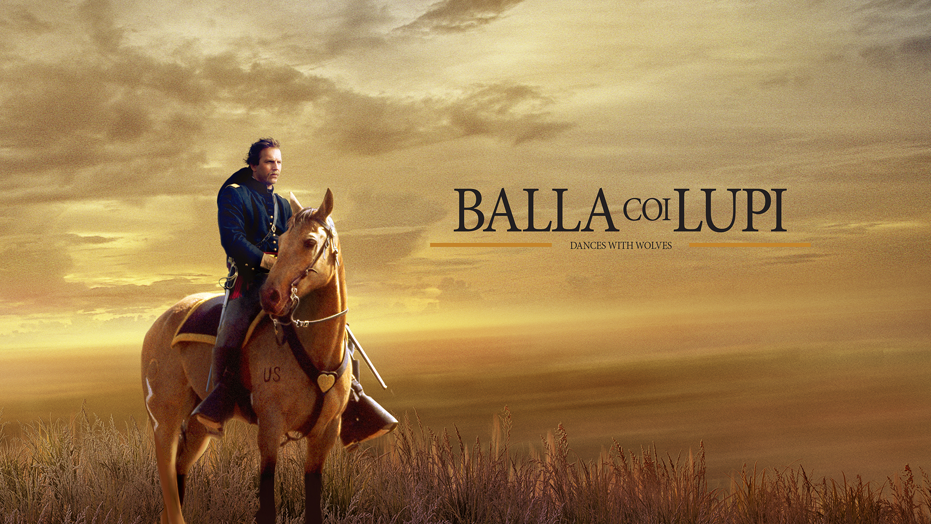 Balla coi lupi cm