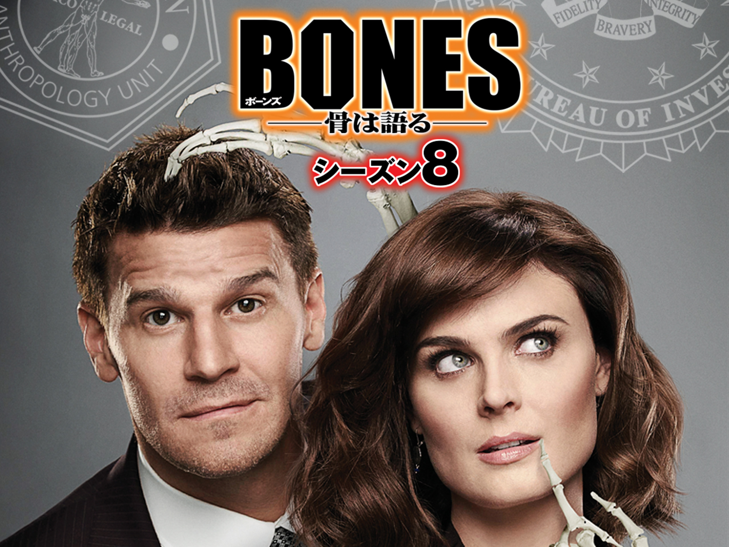 (未使用･未開封品)　BONES —骨は語る— シーズン8 [DVD] vf3p617 Amazon.co.jp: BONES ボーンズ 骨は語る シーズン8 全12枚 第1話