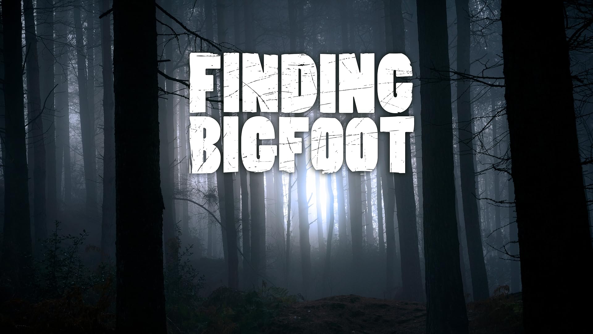 Prime Video: Expedition Bigfoot - Season 3
