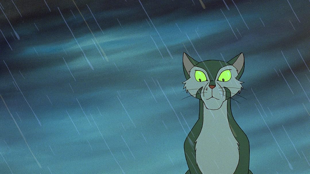 Felidae