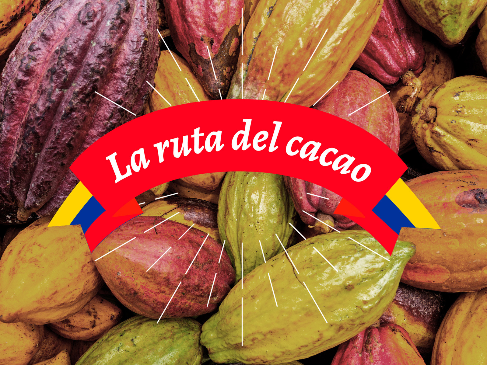 Prime Video: La ruta del cacao