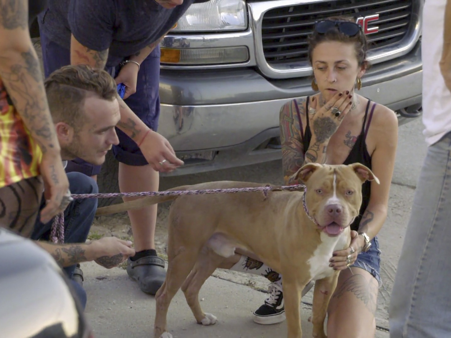 Питбуль монстр. Питбуль и стаффордширский терьер различия. Девушка с питбулем. Сбежавшая от питбуля. Питбуль бежит.