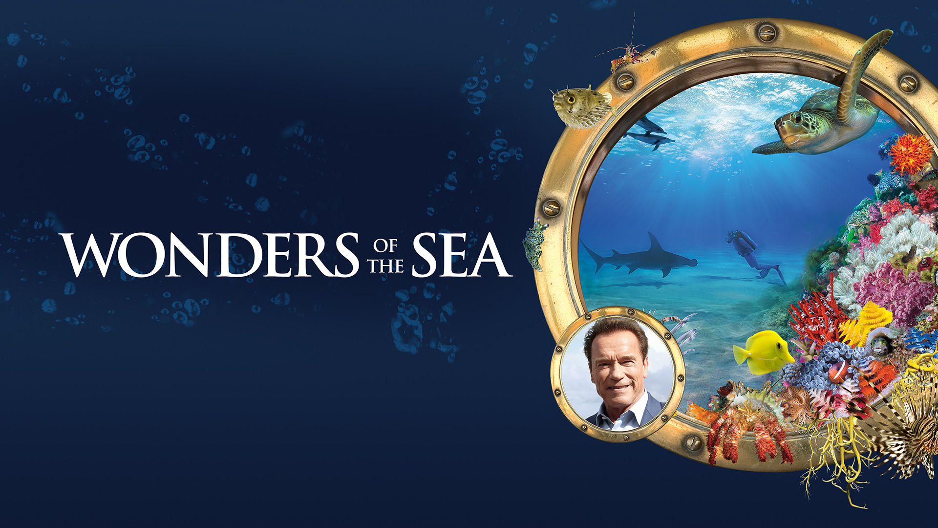 Prime Video: Wonders Of The Sea