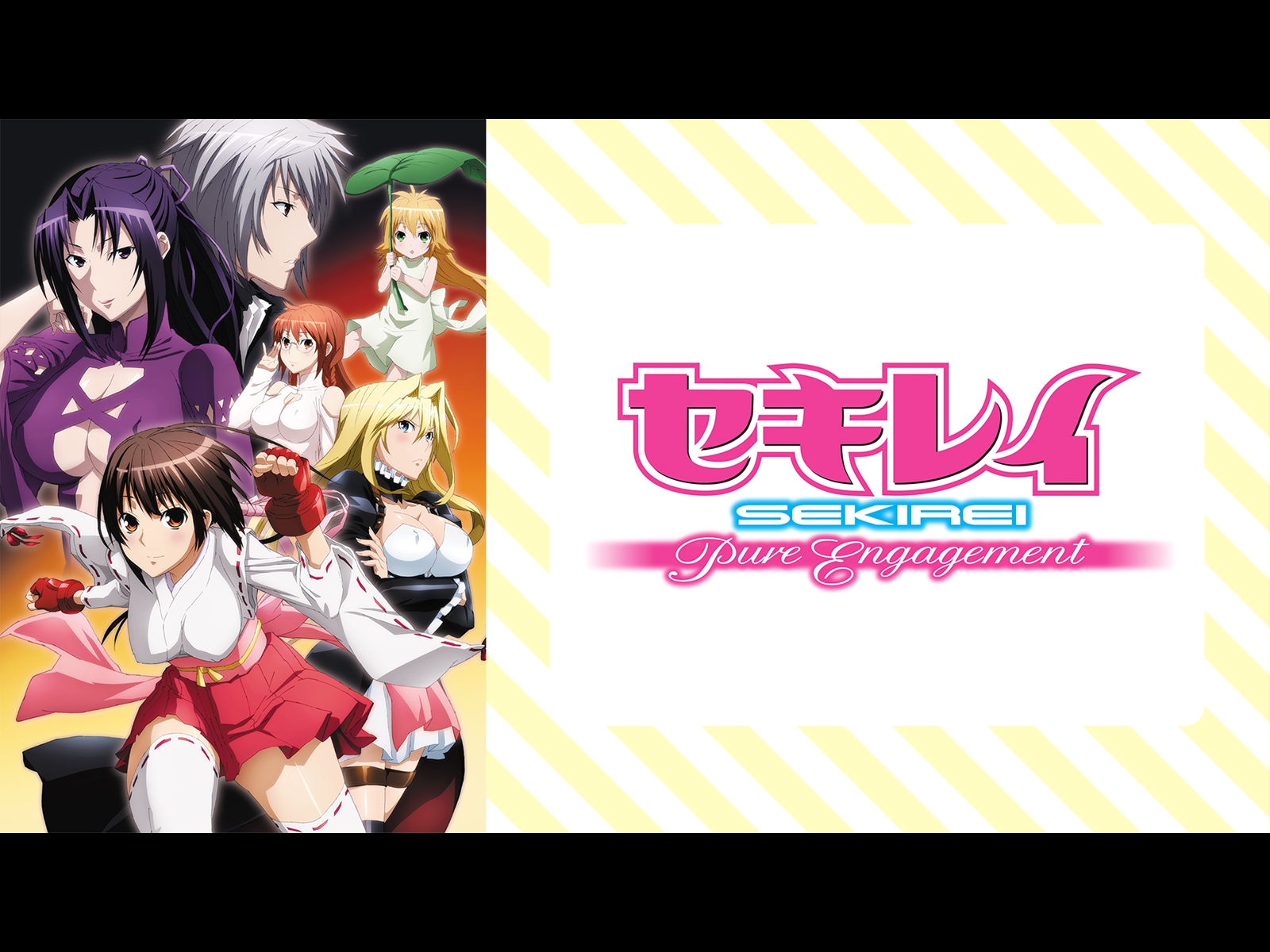 【DVD】セキレイ第1期　全6巻＋セキレイPure Engagement 第2期 DVD】セキレイ第1期 全6巻＋セキレイPure Engagement 第2期