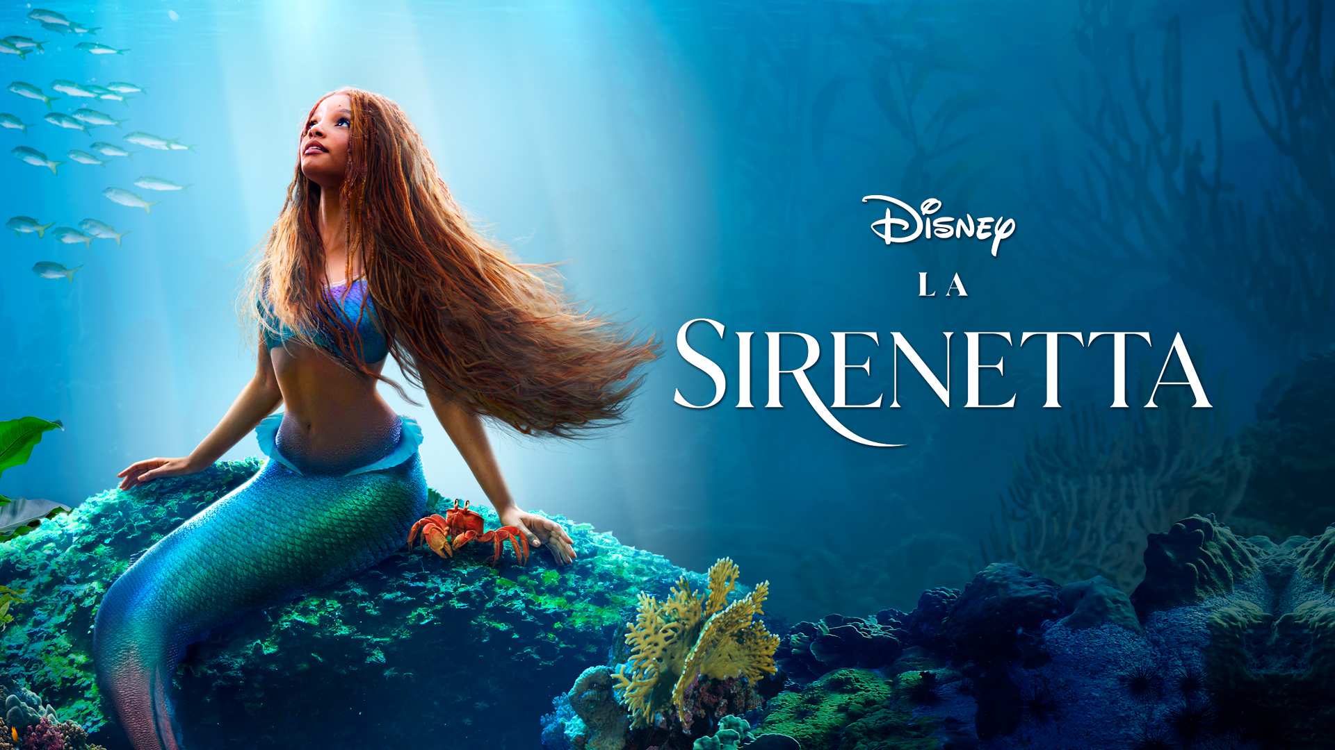 La Sirenetta live action 2023 cm