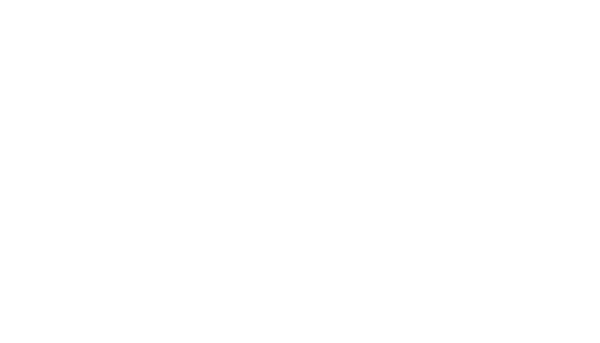Der Kaufhaus Cop 2
