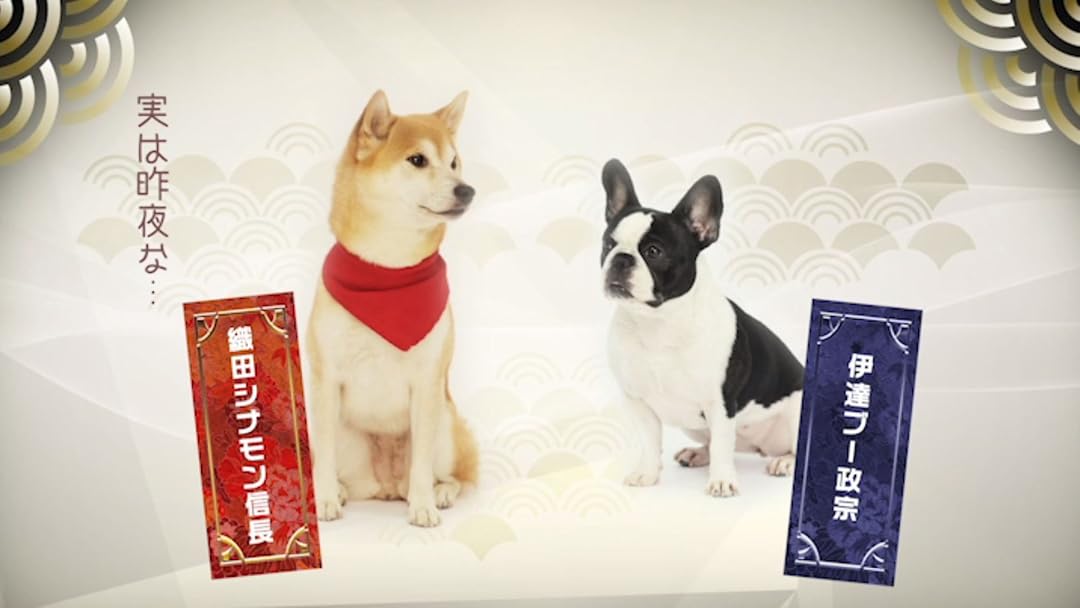 Amazon.co.jp: わん次元！織田シナモン信長を観る | Prime Video