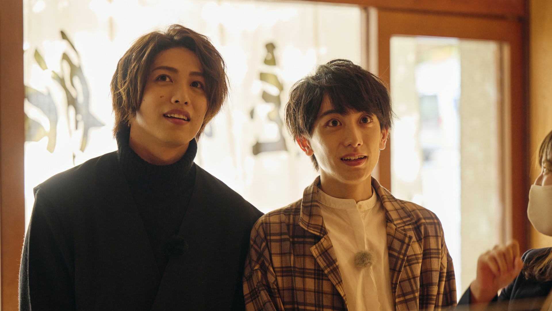 立石俊樹と小西詠斗の発酵男子 DVD 2本セット 発酵男子2】立石俊樹と小西詠斗の発酵男子2（DVD