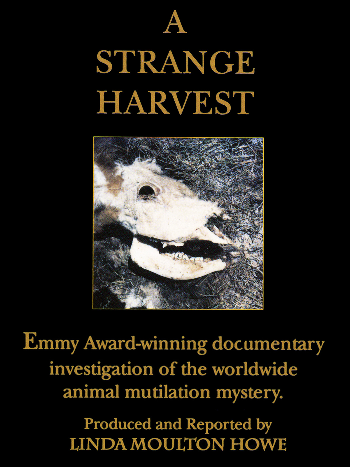 Watch A Strange Harvest | Prime Video