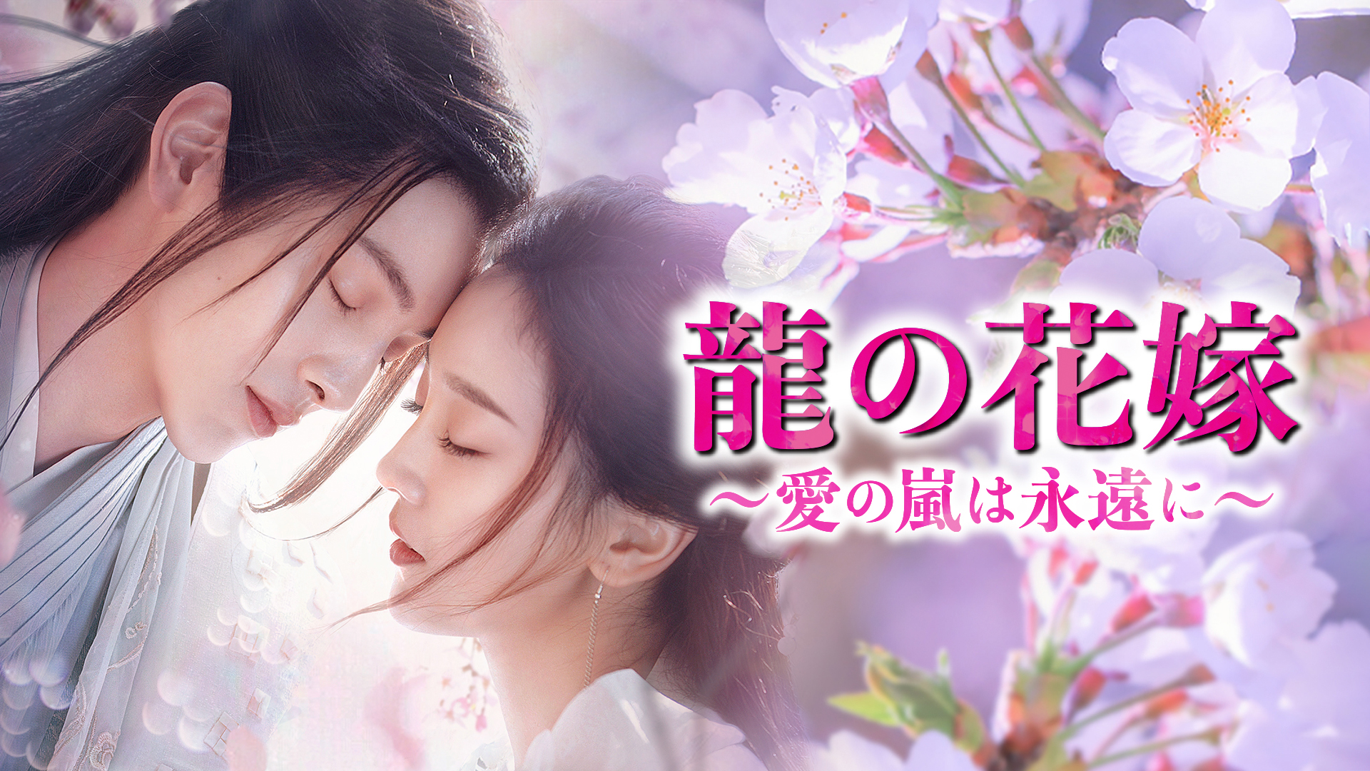花組 TBS赤坂ACTシアター公演 「花より男子」DVD TBS赤坂ACTシアター公演プログラム 『花より男子』＜花組