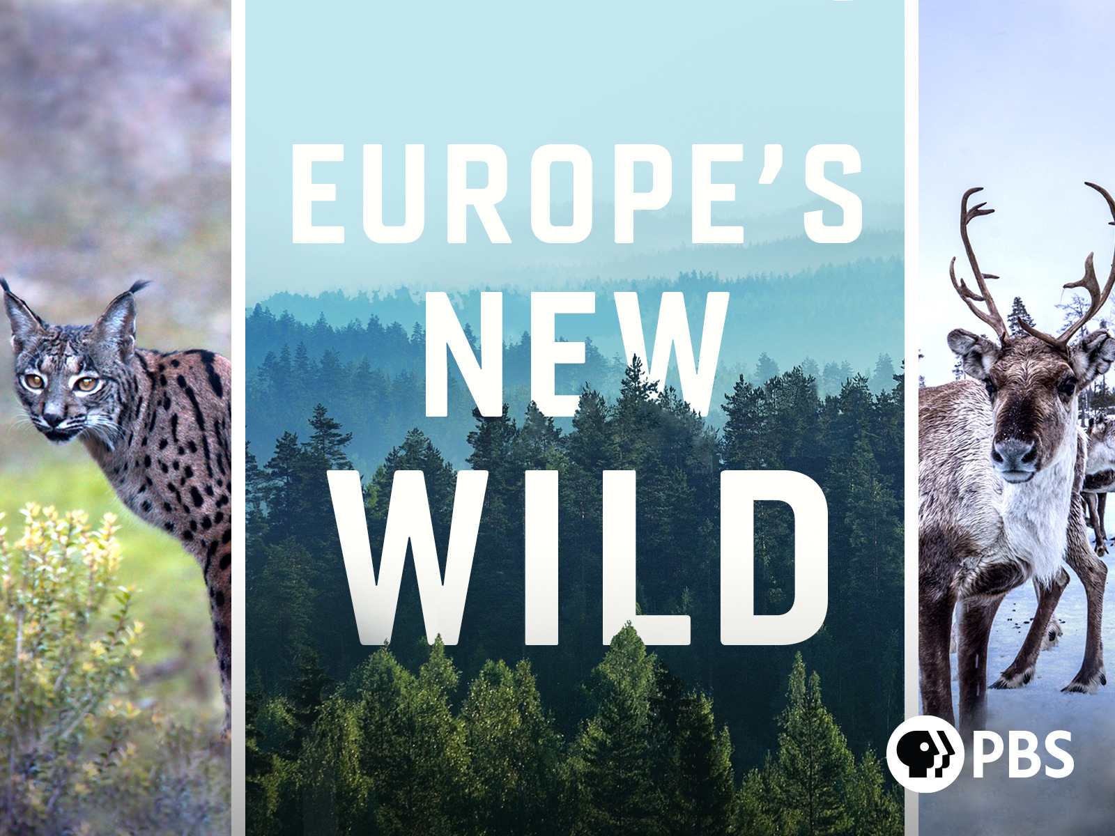 Prime Video: Europe’s New Wild, Season 1
