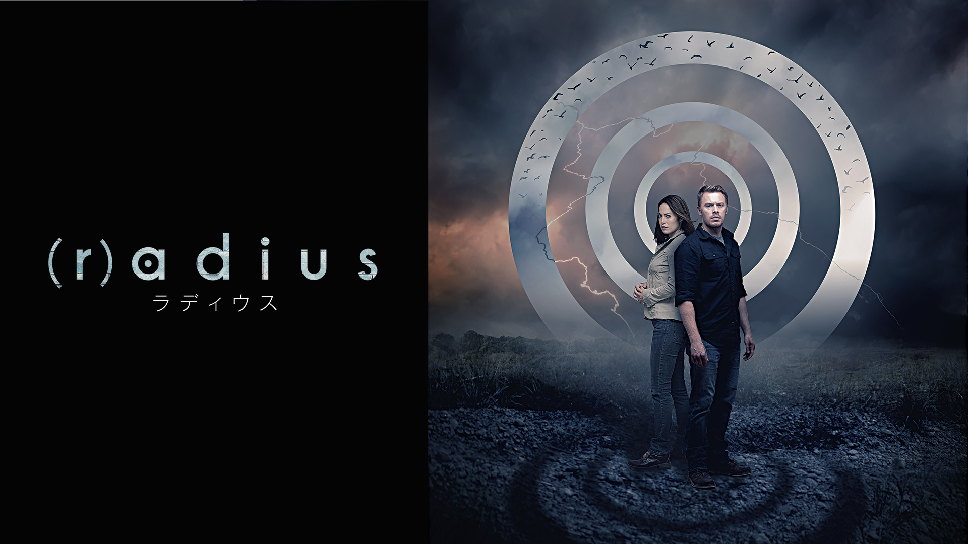 (r)adius/ラディウス [DVD] z2zed1b ヨドバシ.com - (r)adius/ラディウス [DVD] 通販【全品無料配達】