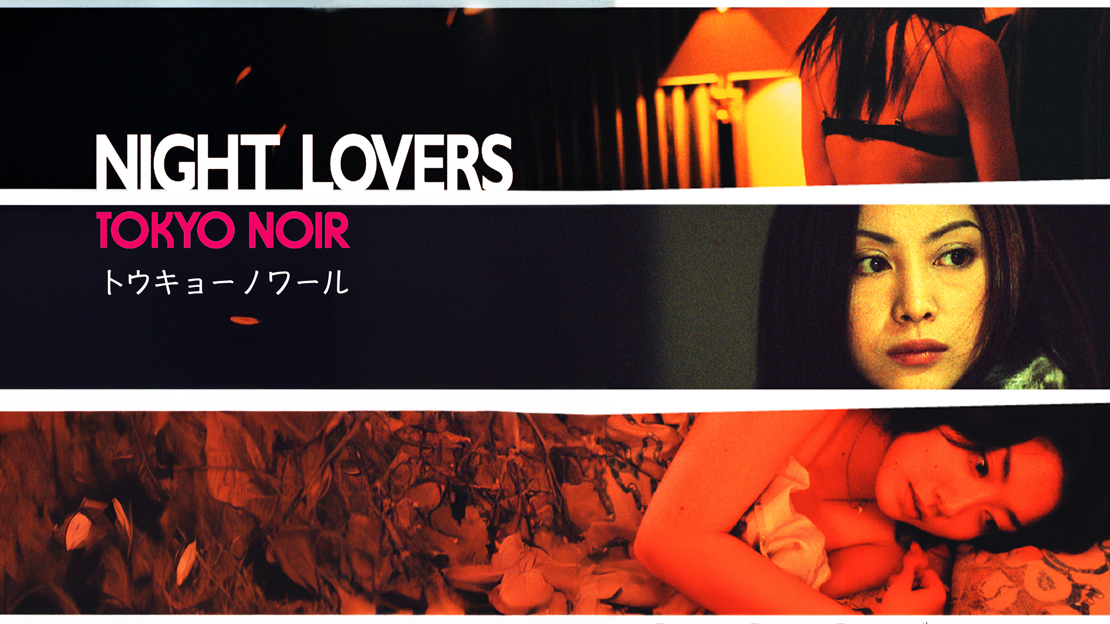 BIRTHDAY 、 NIGHT LOVERS　トウキョーノワール　DVD Amazon.co.jp: NIGHT LOVERS TOKYO NOIR [DVD] : 吉野きみか, 関
