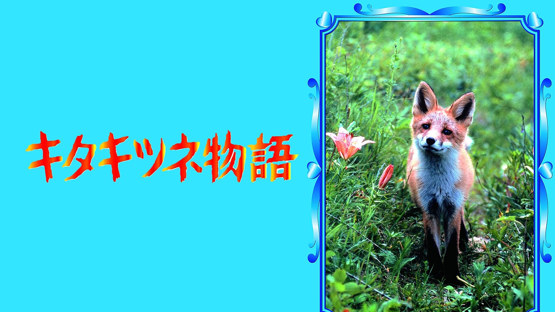 Watch キタキツネ物語 ―35周年リニューアル版― | Prime Video