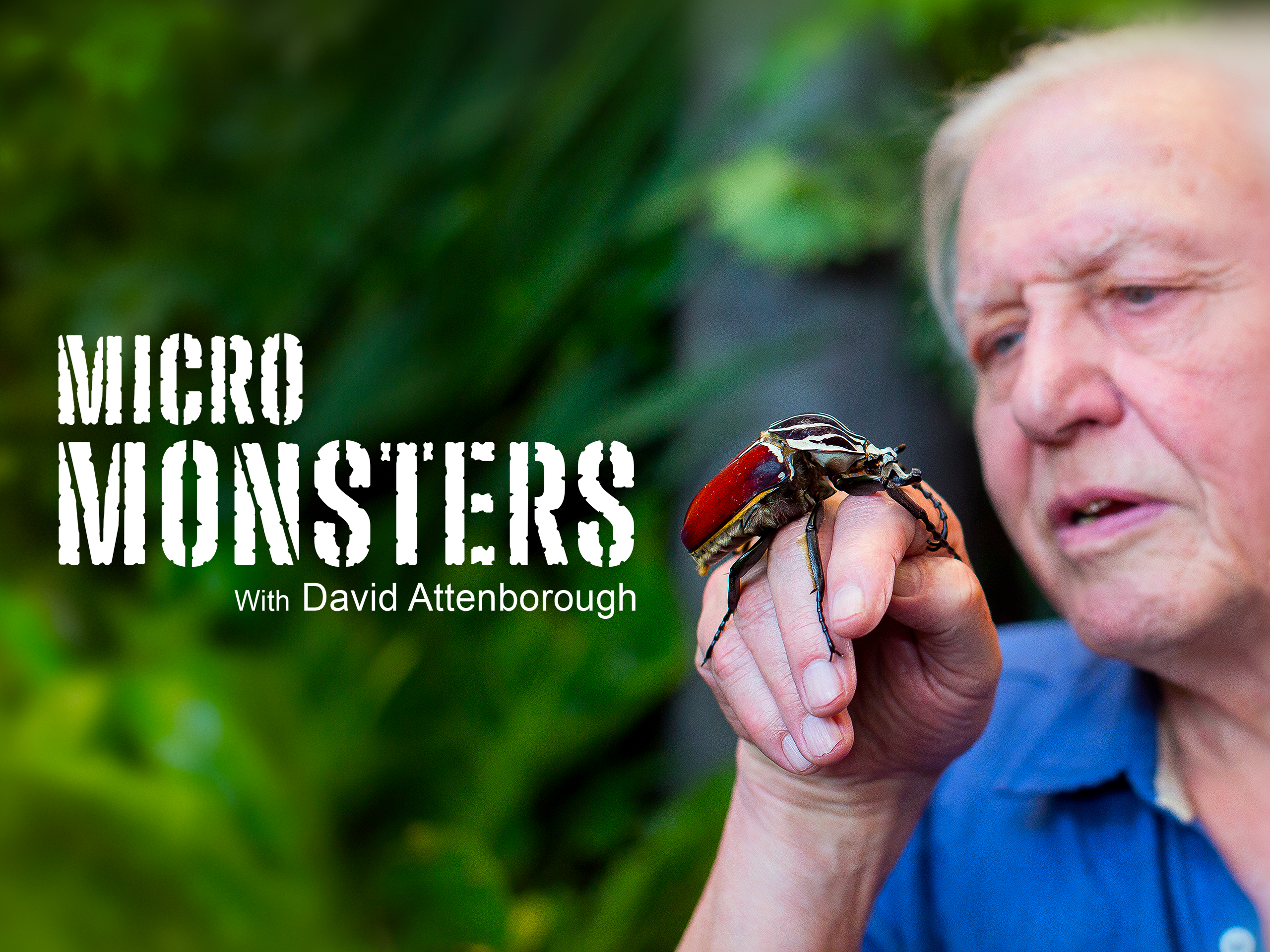 Micro Monsters With David Attenborough 3d [Blu-ray]