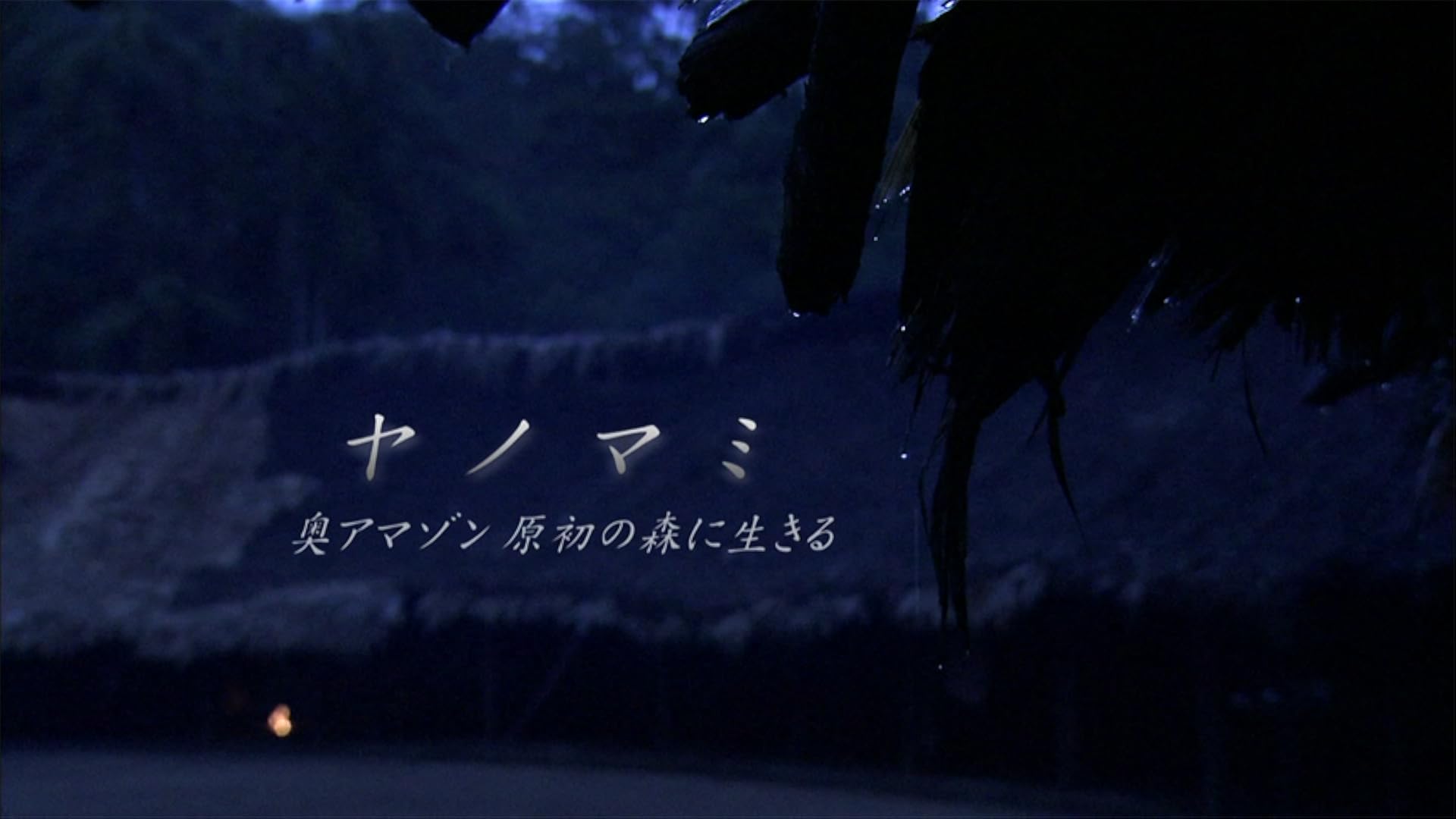 NHKスペシャル　秘島探検　東京ロストワールド　第1集　南硫黄島 [DVD] 秘島探検 東京ロストワールド 第1集 南硫黄島 - NHKスペシャル - NHK