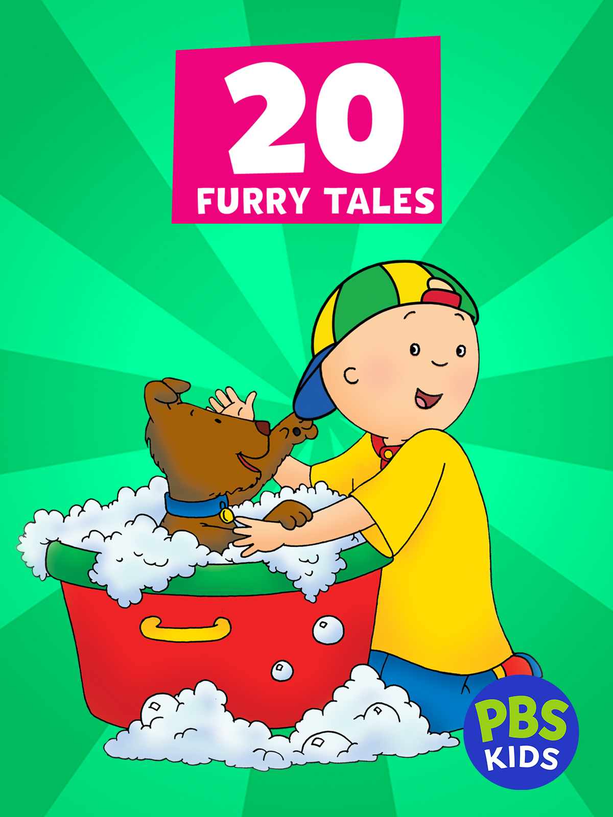 (未使用･未開封品)Pbs Kids: 20 Furry Tales [DVD] [Import] Pbs Kids: 20 Furry Tales (DVD), PBS (Direct), Kids & Family