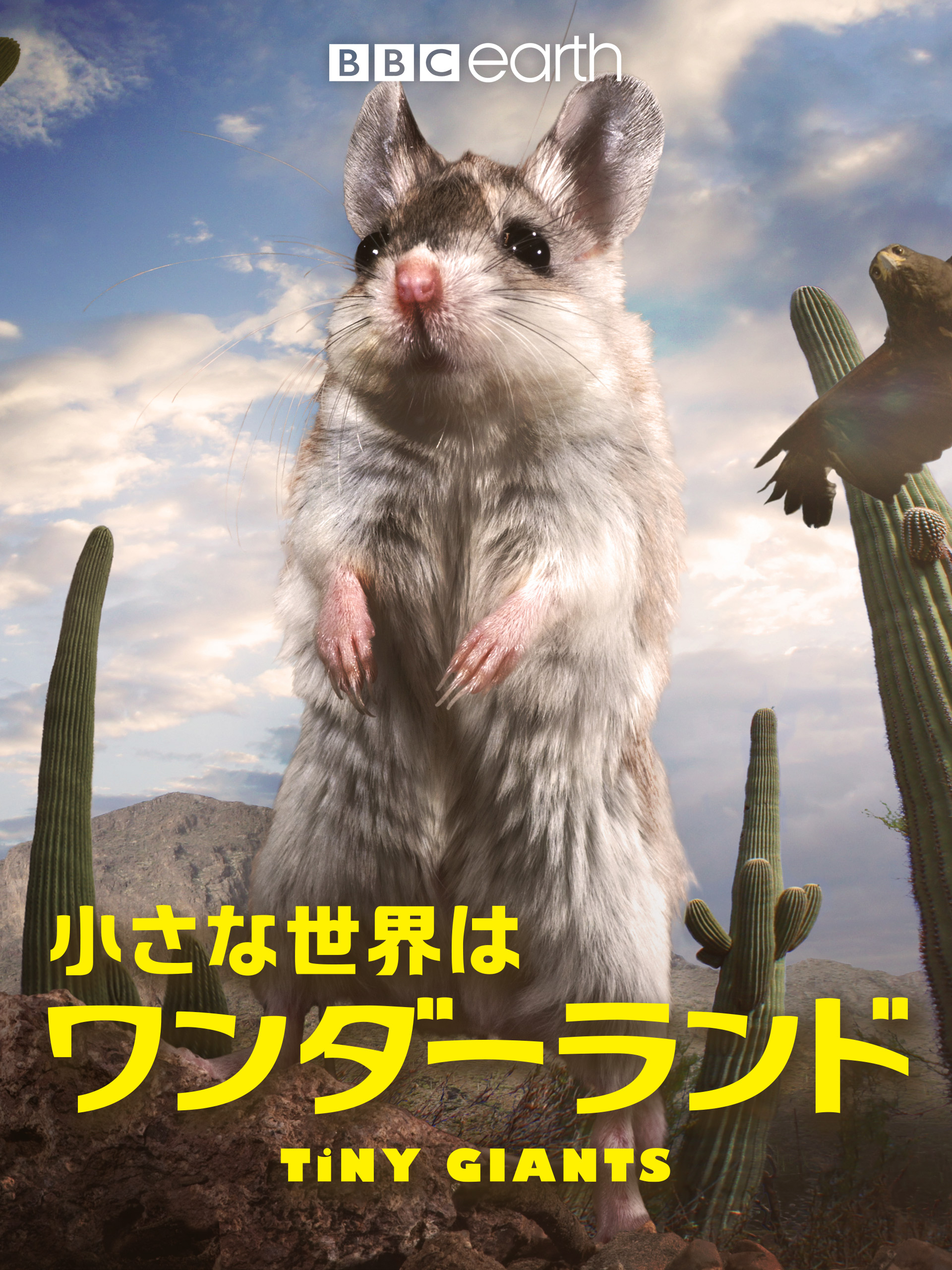 Amazon.co.jp: 小さな世界はワンダーランド（吹替版）を観る