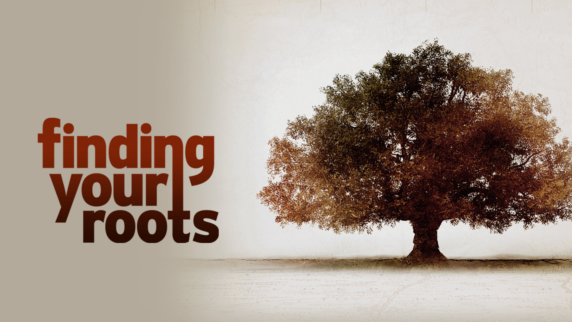 その他 Finding Your Roots: Season 3 [DVD] [Import] その他 Finding Your Roots: Season 3 [DVD] [Import] Amazon