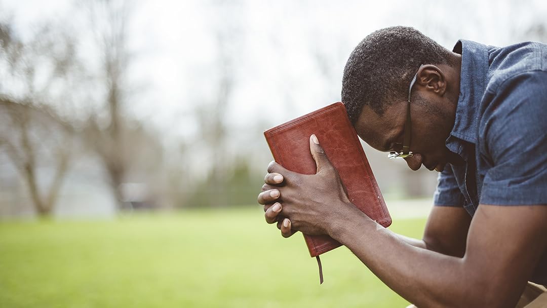 The Living Bible Series
