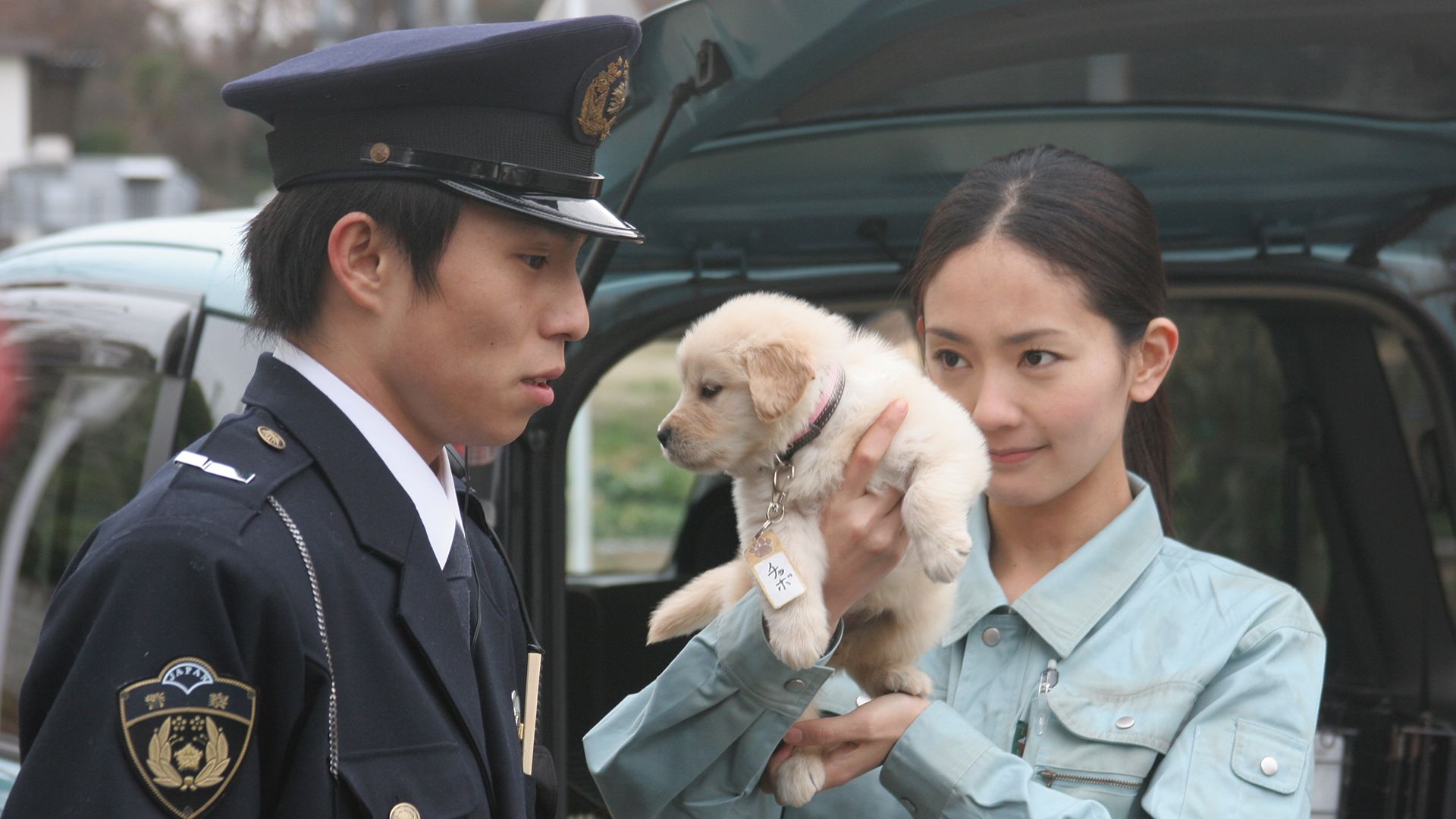 犬のおまわりさん　ポリス 51iHhtPAADL._AC_SY200_QL15_.jpg