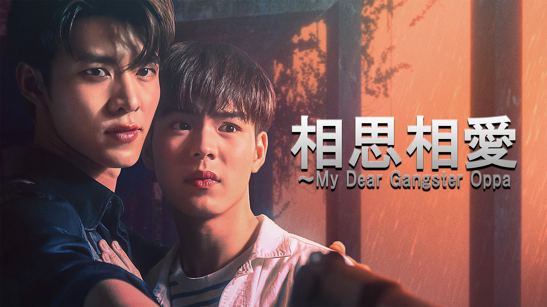 【極美品】Living Behavior 不可思議/wonderboy人生の記録 不可思議/WONDERBOY 人生の記録 | NION