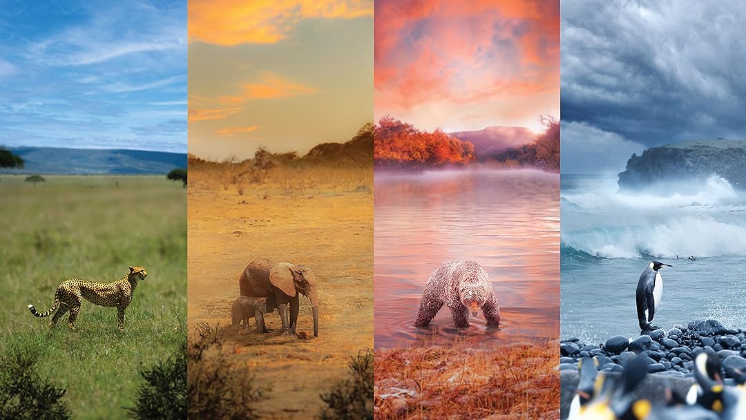 A Year On Planet Earth