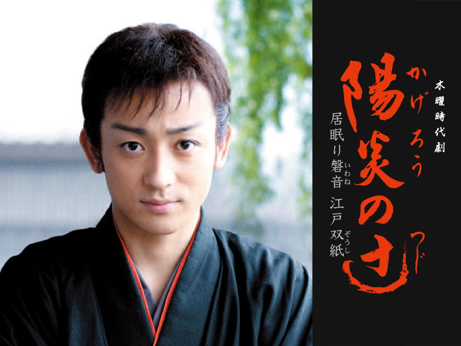 陽炎の辻2 居眠り岩音 江戸双紙 時代劇】陽炎の辻 居眠り磐音 江戸双紙 第2シリーズ＆正月