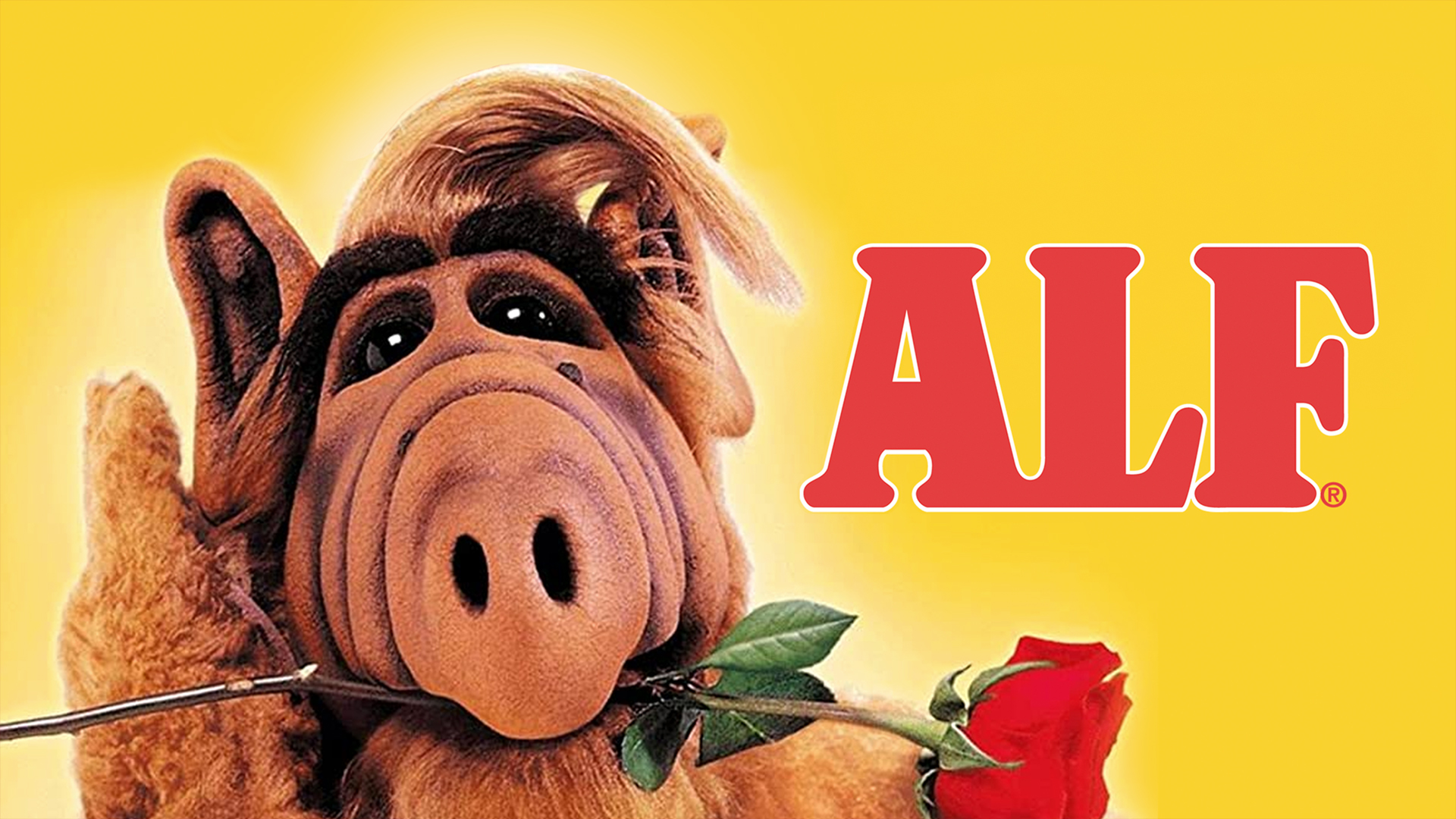 THE ALFEE HISTORY IV 1997〜2001 SINGLE HISTORY VOL.V 1996-2001 : THE ALFEE | HMV&BOOKS