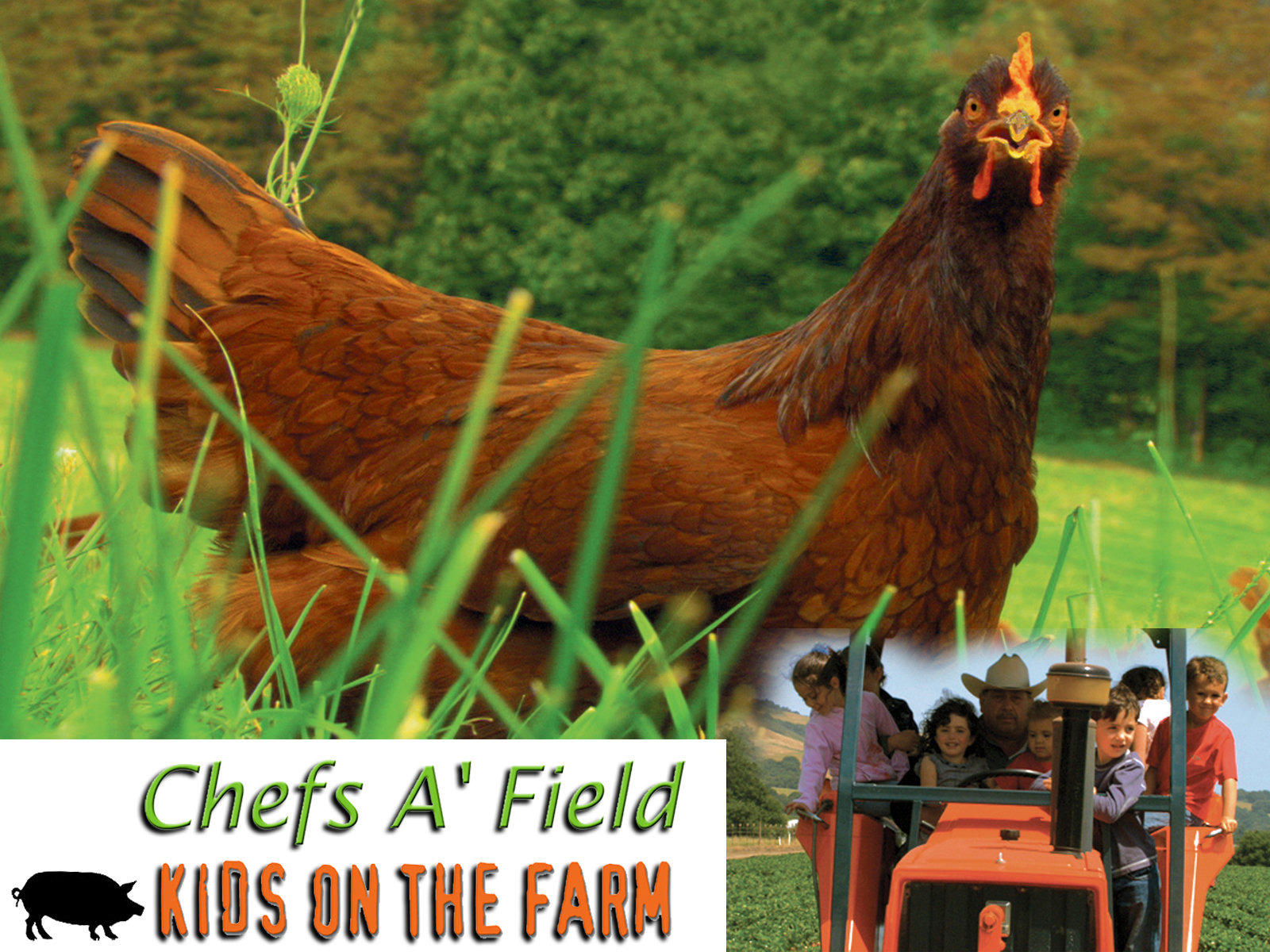 Prime Video Chefs A Field Kids On The Farm Series prime-video-chefs-a-field-kids-on-the-farm-series